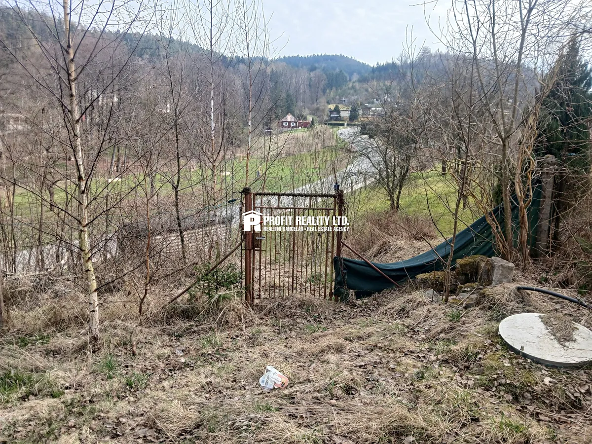 Fotka 10 z 17